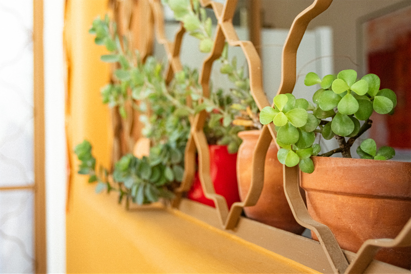 Black Coral Studio 1 black coral studio 1 sayulita (28)