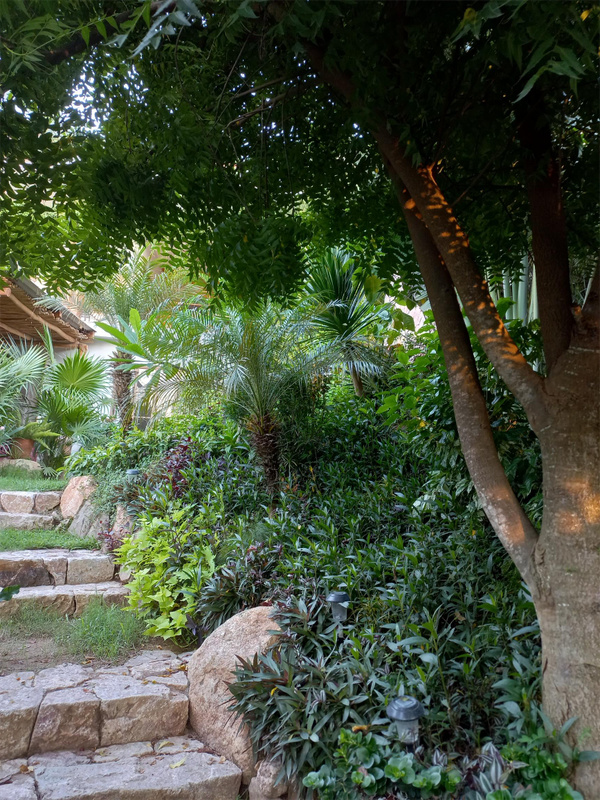 Perfect Getaway Black Coral Studio 2 greentrees