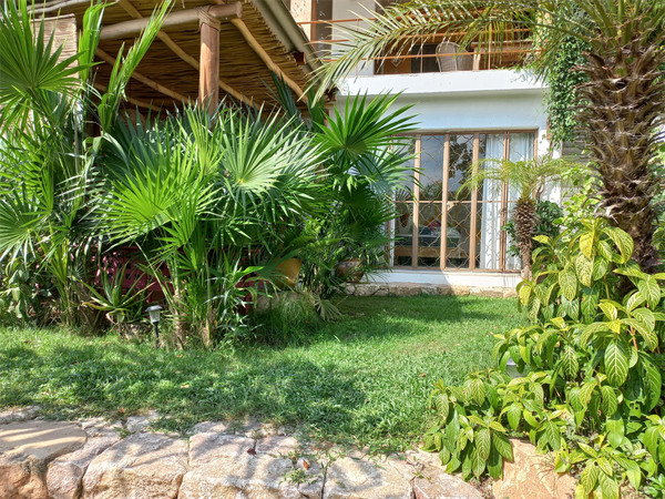 Perfect Getaway Black Coral Studio 2 sayulita black coral studio 14