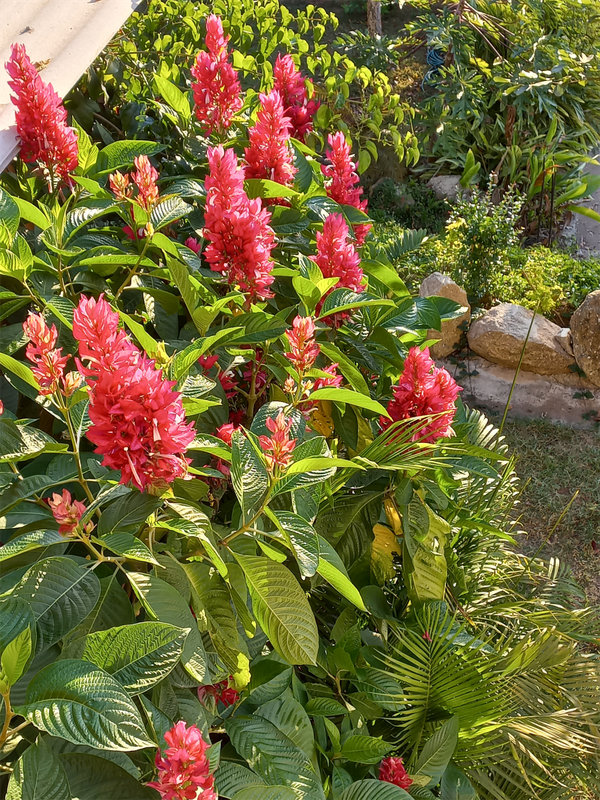 Perfect Getaway Black Coral Studio 2 sayulita black coral studio 15