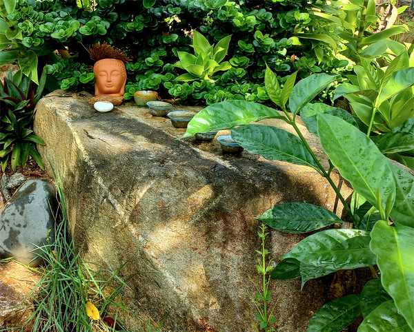 Perfect Getaway Black Coral Studio 2 sayulita black coral studio 16